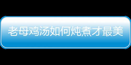 老母鸡汤如何炖煮才最美味？